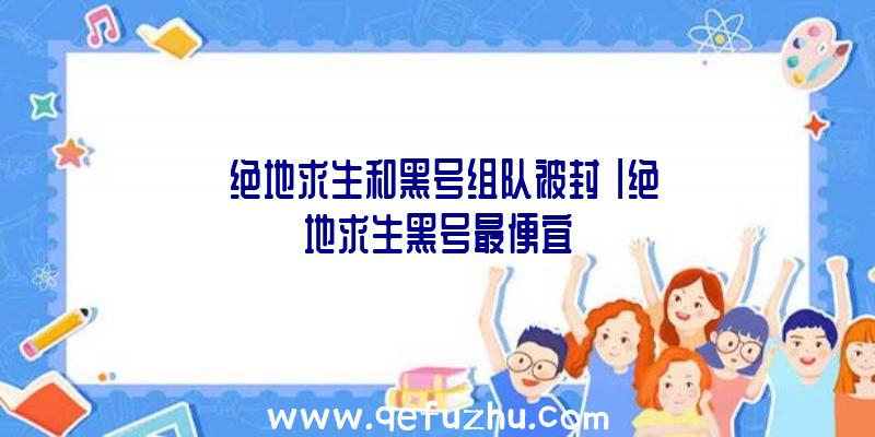 「绝地求生和黑号组队被封」|绝地求生黑号最便宜